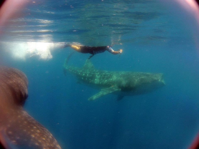  An unforgettable experience